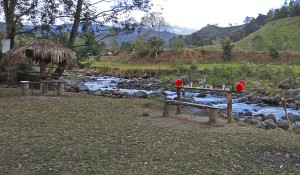 Restaurante Selva Alegre